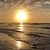 Shannon Merck Collier's profile image