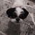 Pat Toennes's profile image