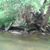 Wendy Speer's profile image