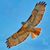LD Latta's profile image