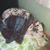 Nancy-Michigan Zierler's profile image