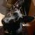Yvette Moeller-Bunker's profile image