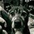 Susan Renee's profile image