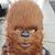 Sara Laws Fortier's profile image