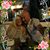 Shirley Palfreyman's profile image