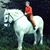 Gerd Holler's profile image