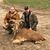 Kevin Tedder's profile image