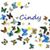 Cindy Walker's profile image