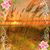 Christy Hughes-Boyle's profile image