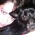 Courtney Shepherd's profile image