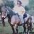 Sam Oetting's profile image