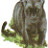 Mandi's profile image