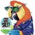 Tomas O Conchobhair's profile image
