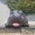 Alicia Cooper's profile image