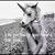 Lee Anne Fisher's profile image