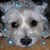 Joan Hastings's profile image