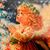 Sandra Red Gregory's profile image