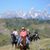 Terri Molnar's profile image