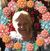 Lillian Foster's profile image