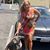 Ramona Podlech's profile image