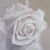 Rolyn Rivers's profile image