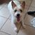 Paige McCrary Glisson's profile image