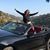Lorrie Green's profile image