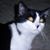 Kathy Kurz's profile image