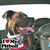 Linda Bolling's profile image