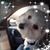 John Patti Buckmaster's profile image