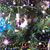 Gretchen Schouten's profile image