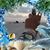 Kathleen Mead Anderson's profile image