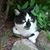 Stacie Windy Ortego's profile image