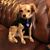 Karen Martin Donoho's profile image