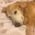 Tess Crum's profile image