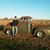 Killinger Creek Kustoms's profile image