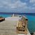 Mark Shiflet's profile image