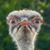 Cody Jones's profile image