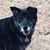 Jeanne Schaffer Cochran's profile image