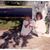 Judi Sweet's profile image
