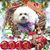 Jackie Blodgett Brochheuser-Chappell's profile image