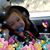 Nancy Rodriguez Cruz's profile image