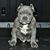 Tommy Lee's profile image