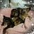 Colleen Luick-galida's profile image