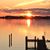 Sheilah Goodman's profile image