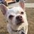 Lupe Rodriguez-Johannsen's profile image
