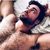 Laio Andrade's profile image
