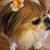 Michelle Lee's profile image