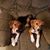 Kelly Orndorff's profile image