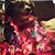 Pam Gale Guzzi's profile image